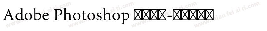Adobe Photoshop 此文本图字体转换